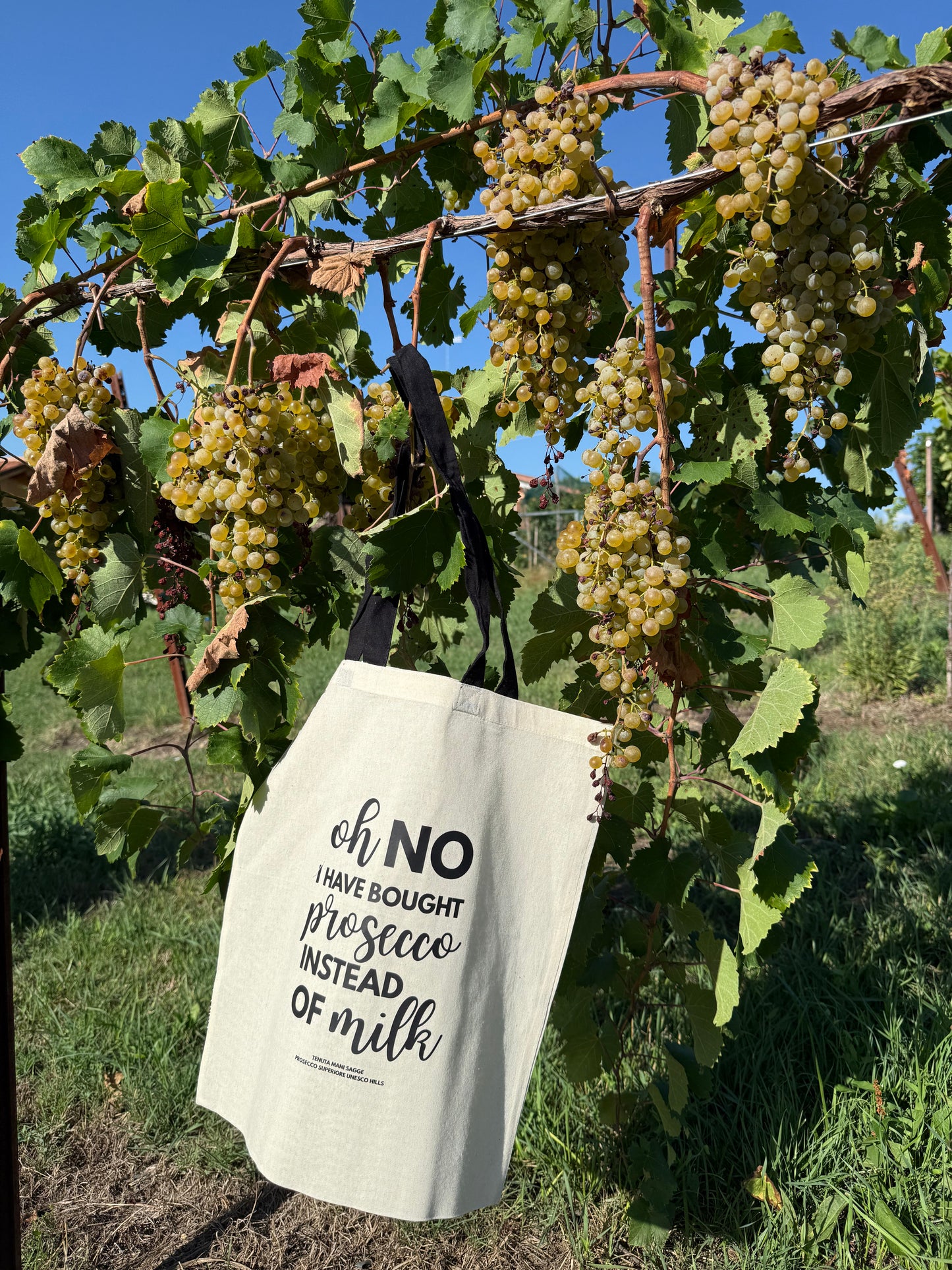 OH NO OFFICIAL SHOPPER TENUTA MANI SAGGE